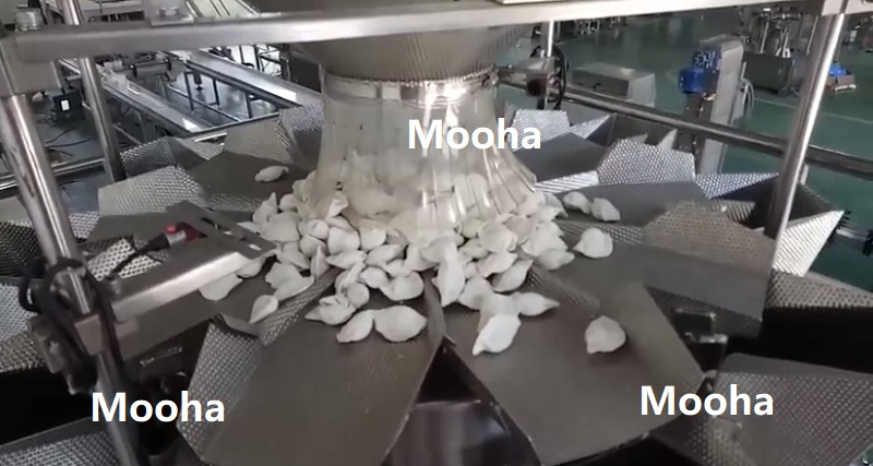 frozen dumpling packaging 1