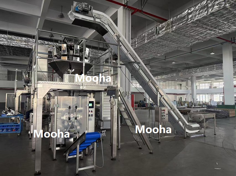 1kg frozen dumpling packaging machine.jpg