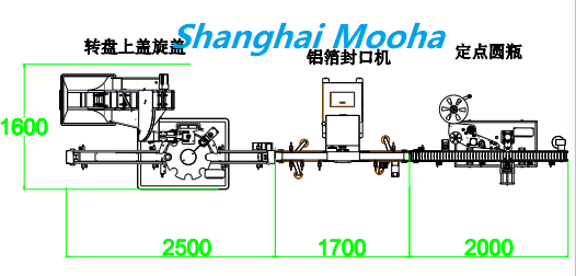 Milk Protein Powder Weighing Bottling Machine for Sale