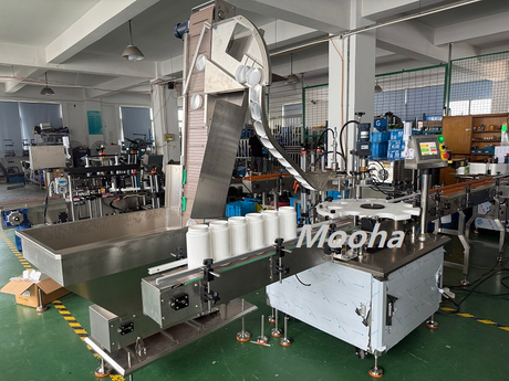 auto cap screwing machine (1).JPG