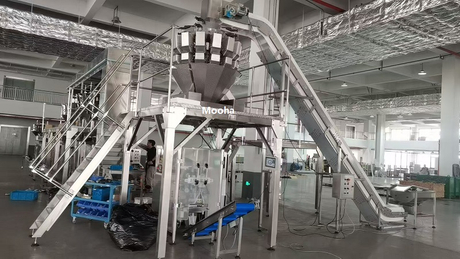 frozen dumpling packaging machine 11 .jpg