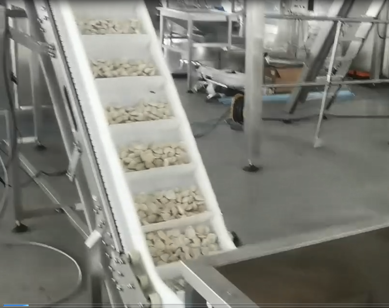 frozen dumpling packaging